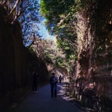 猿島 切り通し