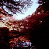 池田山公園もみじ散策