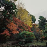 横浜もみじお寺散策