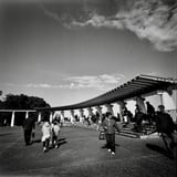 港が見える丘公園の展望