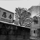 雪の横浜