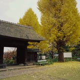 横浜 秋 巡り