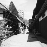 松本散策