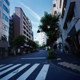 夏の朝