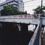 はとのかくれんぼ
