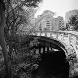 橋の湾曲