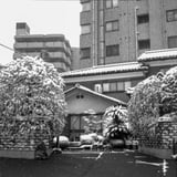 雪景色