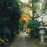 横浜 もみじ お寺散策