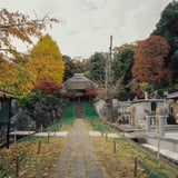 横浜 秋 散策