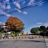 港が見える丘公園