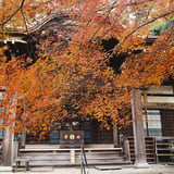 横浜もみじ散策お寺巡り