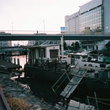 ライブ終わりの夕方散歩