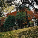 横浜もみじお寺散策
