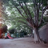 児童公園