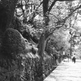 兼六園の前
