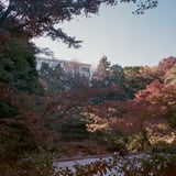 池田山公園散策