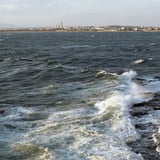 冬の波飛沫