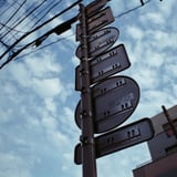 見上げる