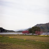 春