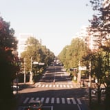 渡