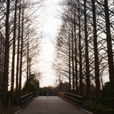 相棒でお馴染みの橋