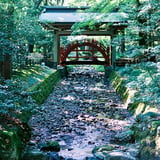 夏