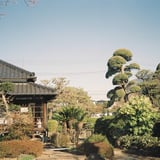 カラフル