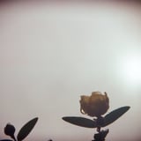 HOLGA 135BC