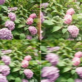 📷MULTI SHOT TOY CAMERA