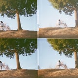 4眼の連写カメラ
