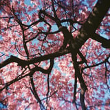 FILM No.01_0004
