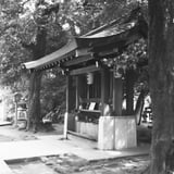 記録の中の鮮やかな世界