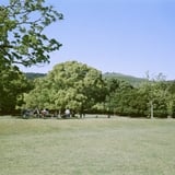 木陰で練習