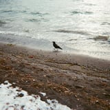 十和田湖にて