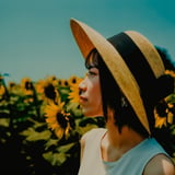 陽を向く季節