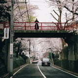 春は橋を渡る
