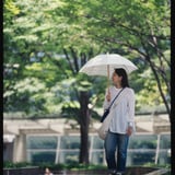 木漏れ日に