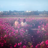 両親が使っていたカメラで撮る夫婦