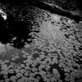 三田洞弘法 　法華寺