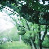 茶瓶を枝に吊り下げてみた