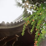 祐国寺