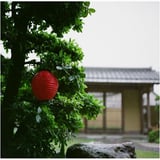 赤提灯