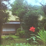 神崎の日比野家の庭先の花
