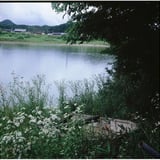 長良川河畔　