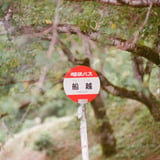 バス停