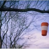 ZEISS IKON Contax IIa　／　Sonnar50mmF1.5T　