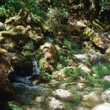 円原川の伏流水