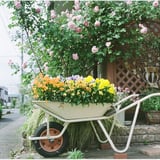花いっぱいの一輪車