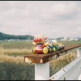 ZEISS IKON Contax IIa／　Zeiss-Opton　Biogon35mmF2.8T