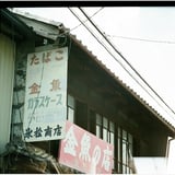 金魚の店